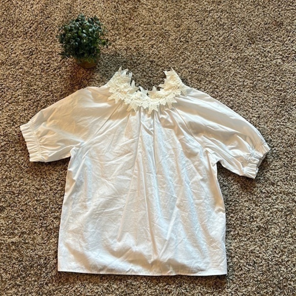 Zara Lace Neck Top